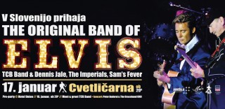 Elvis-17_1_Cvetlicarna